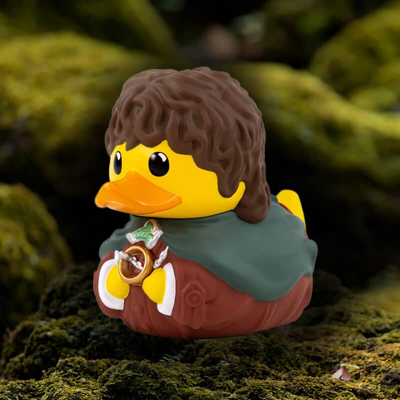 Lord Of The Rings Boxed Frodo Baggins